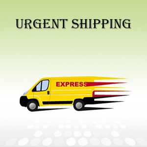 Spedizione Espressa (DHL)